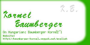 kornel baumberger business card